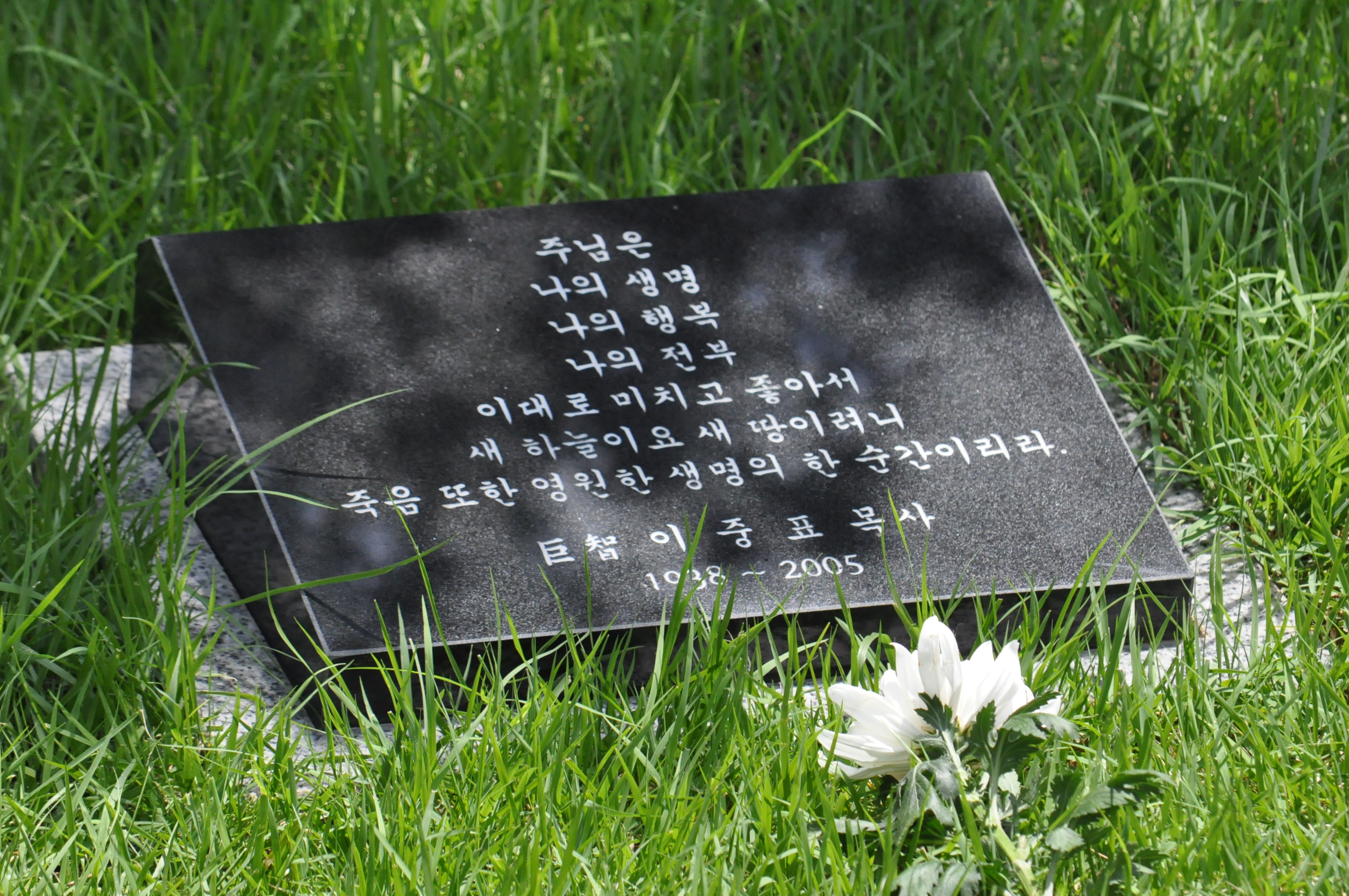 ���� �̹��� ����