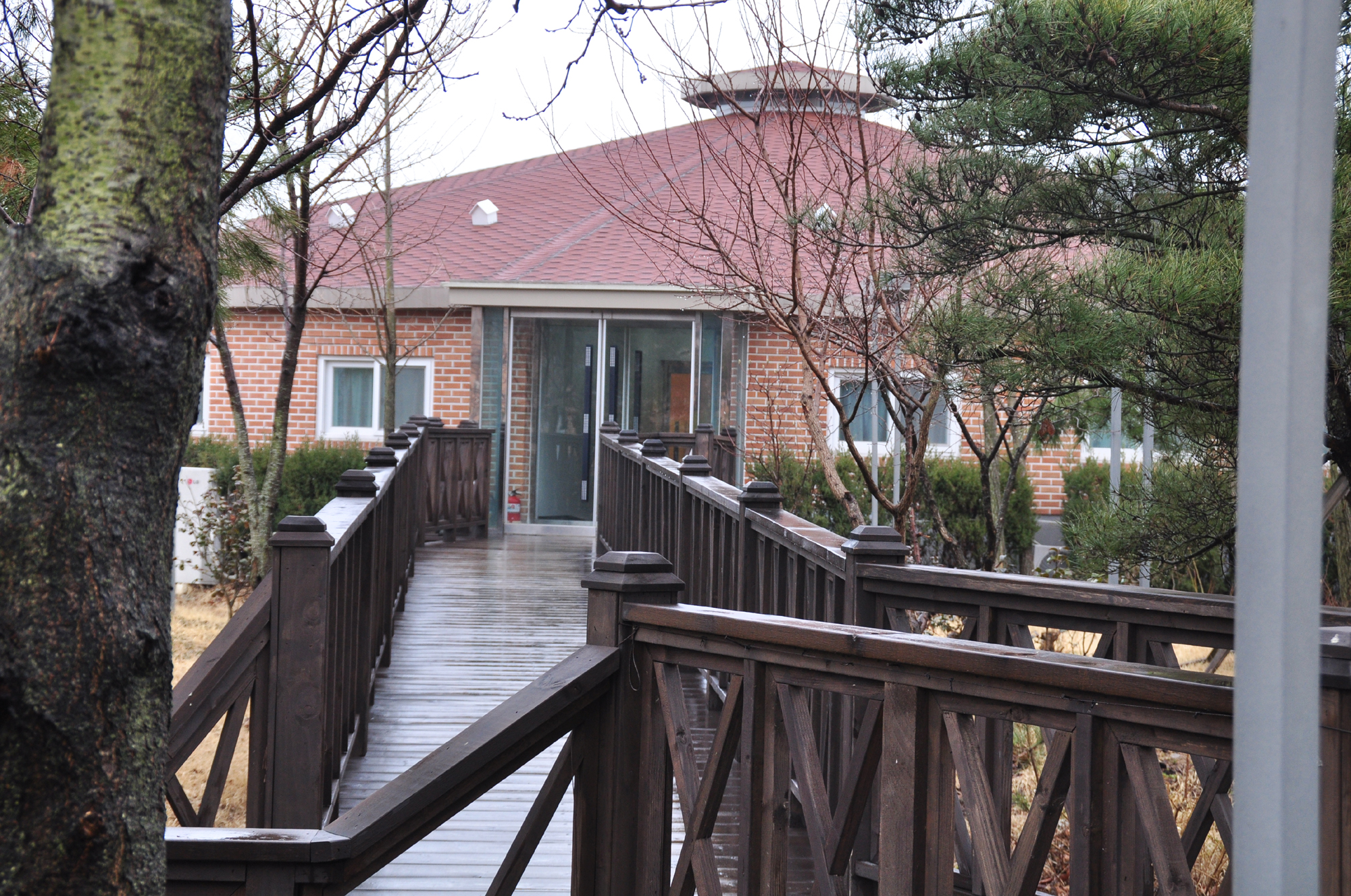 ���� �̹��� ����